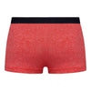Apollo Hipster Red - Kiniki