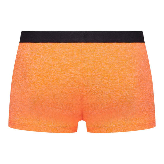 Apollo Hipster Orange - Kiniki